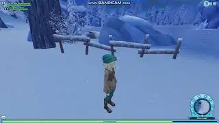 Star Stable- All Winter village stars (Read description)