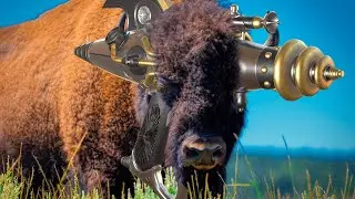 TF2 - The Bison