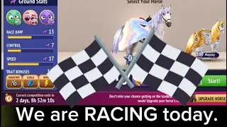 RACING 🏁 Silver cup multiplayer | Singleplayer diamond cup - Horse Riding Tales