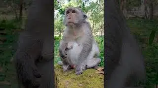 VID20221109111208