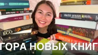 🔥 ОГРОМНЫЕ книжные покупки 😱 Новые и редкие книги