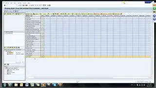 SAP APO SNP Video Training
