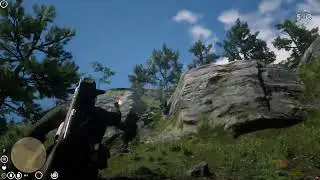 Go Gorilla
