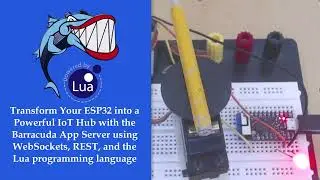 Transform Your ESP32 into a Powerful IoT Hub with the Barracuda App Server and the Lua language