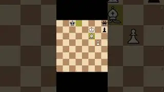 Клетка для ферзя в шахматах! #chess #шахматы