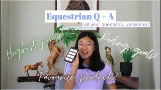 Equestrian Q + A!! (Instagram Questions)
