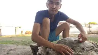 Ауылда қой қырқу. Қыдырма тоқтыны қырқу маған бұйырды. Қырқар көп болсын!