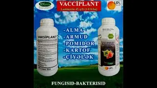 VACCİPLANT