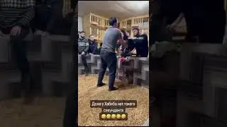 Петушиный секундант 😁
