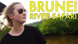 INCREDIBLE Brunei River Safari