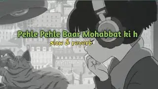 pehle pehle baar mohabbat ki h. alka saha| udit narayan. old hindi. song 90's old hindi song. lofi