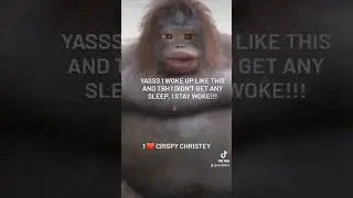 Crispy Says... Good Morning  Sunshine 💋