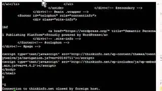 Using Telnet to test HTTP on port 80