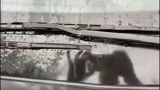 Результат покраски поводков дворника на Honda Civic спустя год