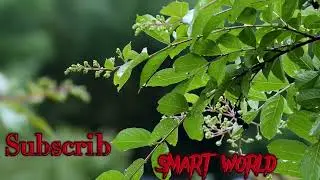 පරිසරයේ මනස්කාන්ත වූ සුන්දරත්වය විඳින්න එක්වන්න