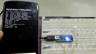 FAY Serial Terminal Demonstration