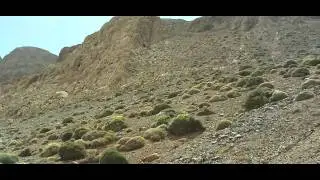 une partie du trajet vers jbel el ayachi 3741m.MOV