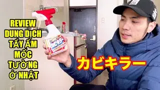 Review dung dịch tẩy nấm mốc tường ở Nhật || Dung dịch tẩy nấm mốc tường ở Nhật