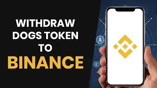 How To QUICKLY Connect & Withdraw DOGS To Binance Exchange (2024)
