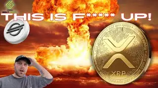 XRP XLM  : BIG UPDATES!!!!!!! 🚨