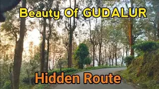 Beauty Of Gudalur | Gudalur Elamala Route  View | The Demonblacky