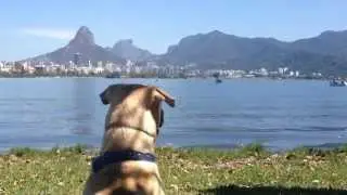 Luke 3 Anos