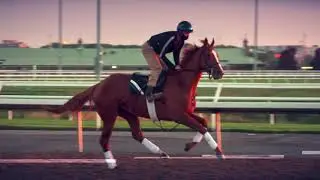 Woodbine Racetrack is #BackonTrack
