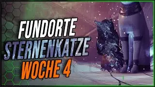 ALLE Sternenkatzen Woche 4 / Gebet des Plünderers - Destiny 2 | Lightfall- Destiny 2 | Lightfall