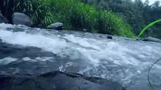 Live Relaxing Water Sounds – Gentle Nature Ambience for Deep Sleep & Stress Relief