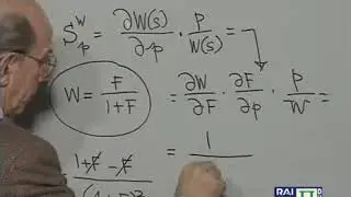 19 - Perturbazioni modello motiplicativo - TEORIA DEI SISTEMI