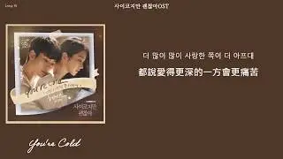 [韓繁中字]헤이즈 (Heize) – You're Cold (더 많이 사랑한 쪽이 아프대) (Lyrics歌詞／가사)