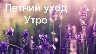 Летний уход. Утро,  Мастер - класс от 
