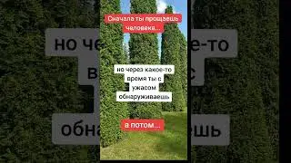 Сначала ты прощаешь человека...