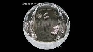 RoiDOME-7