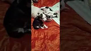 Рэй и Триша с мамой.