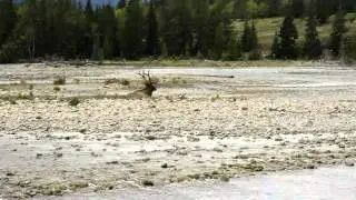 Jasper 111