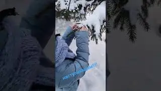 26 декабря 2023 г.