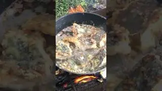Рыбалка рыбалкой, а Обед по расписанию…
