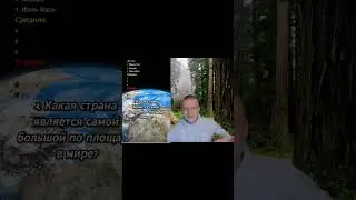Мелстрой Викторина #мем #рек #мелстройврек