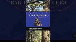 Что посмотреть когда нечего не хочется