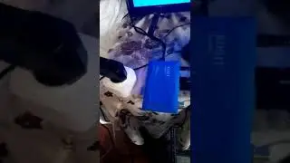 14 апреля 2020 г.