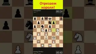 Убойный приём в атаке на короля! 