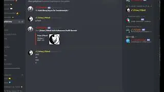 Discord level komutu