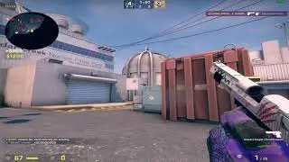 joined a pro team