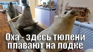 День в Охе. Краеведческий музей и парк