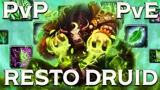 The MUST USE PvP and PvE Resto Druid builds for WoW TBC