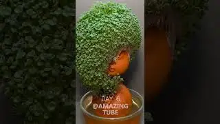 Growing Chia Seeds - 