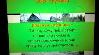 Закон клубники в МЛМ или как понять что кандидат созрел