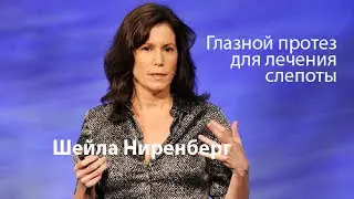 Шейла Ниренберг — Глазной протез для лечения слепоты