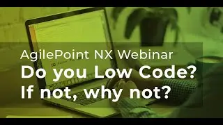 Do you low code ? If not, why not?